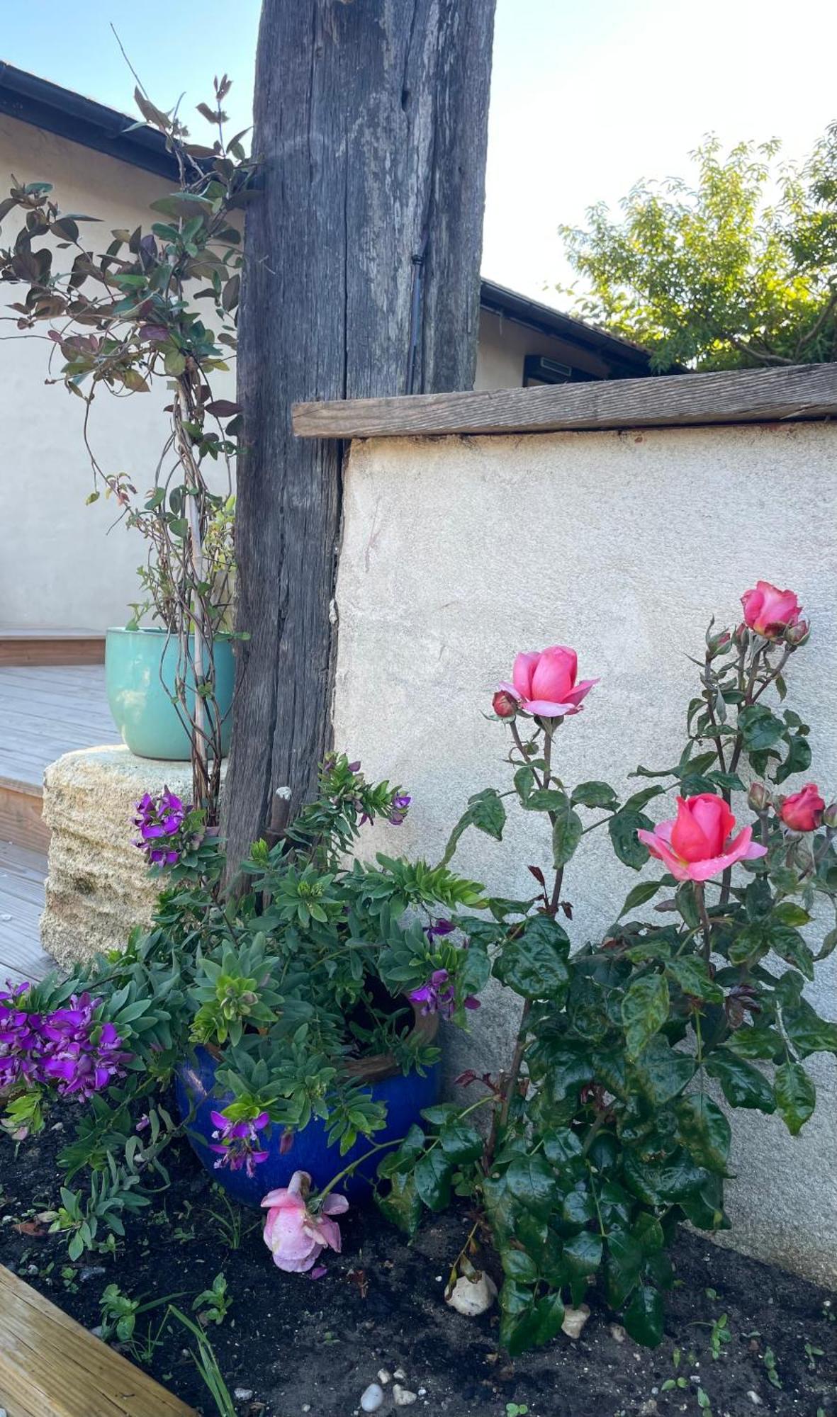 Instant Zen Bed and Breakfast Saint-Vivien-de-Médoc Exteriör bild