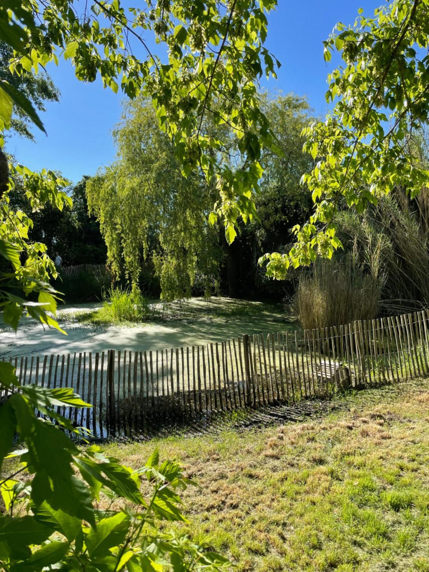 Instant Zen Bed and Breakfast Saint-Vivien-de-Médoc Exteriör bild